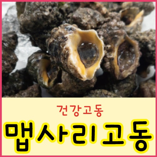 맵사리고동 손질법 삶는법 보관법 맵사리고동 시기 먹는법 요리법