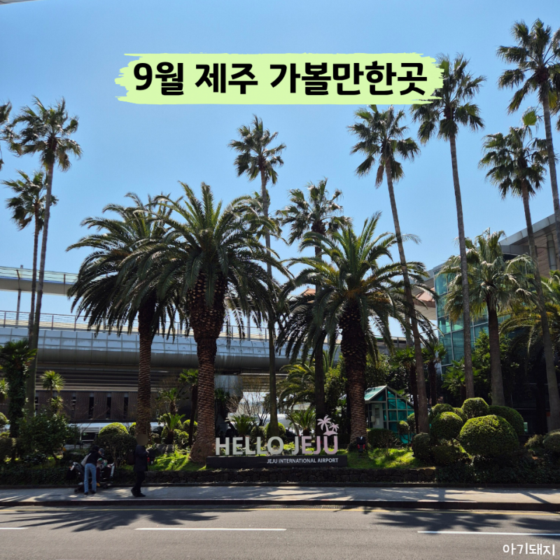 9월 제주도 가볼만한곳 동쪽 서쪽 총 7곳 정리