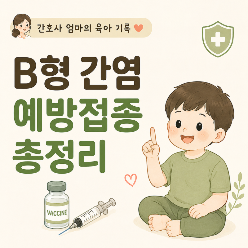 B형간염 예방접종 총정리｜아기 1·2·3차 접종 시기부터 주의사항까지