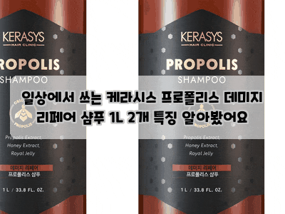 일상에서 쓰는 케라시스 프로폴리스 데미지 리페어 샴푸 1L 2개 특징 알아봤어요