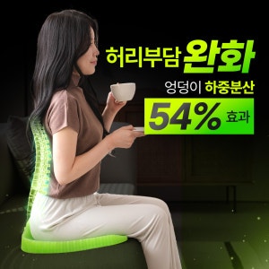 밸런스온 기능성 시그니처 시트(치질 자세교정 도넛 엉덩이 꼬리뼈 전립선 무중력) 방석이라....