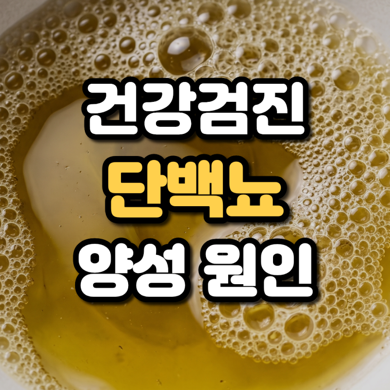 건강검진 단백뇨 양성 원인 일시적 현상과 신장 질환 구분법