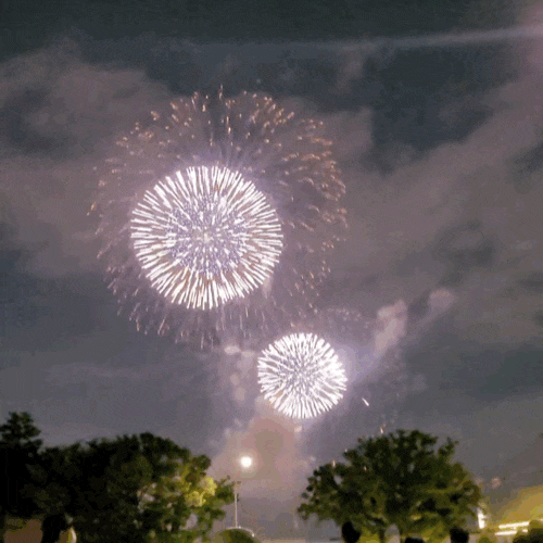 2026 여의도 불꽃축제 명당 추천! 작년 직접 가본 노들섬 한강대교 노들섬 다목적홀 숲 시야 ....