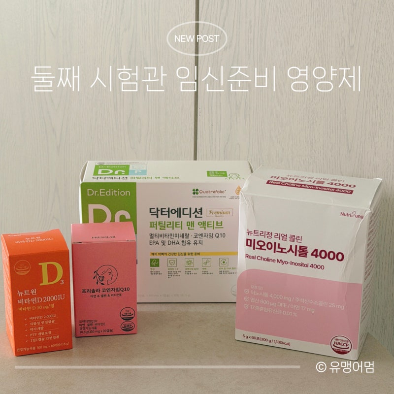 임신준비 영양제 추천｜엽산 이노시톨 코큐텐 비타민D 남성 임신영양제까지