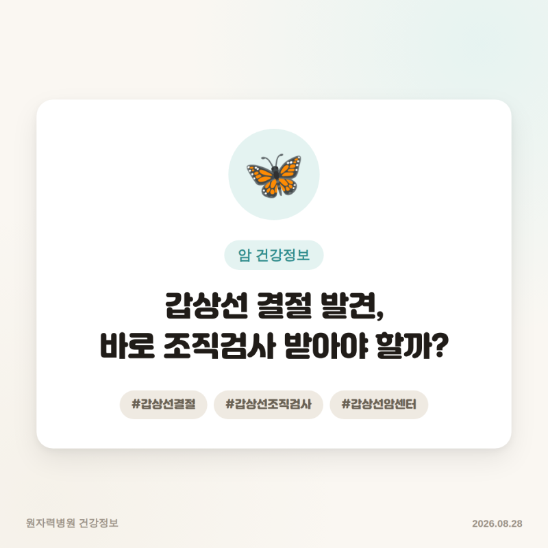 갑상선 결절이 발견됐다면? 바로 조직검사를 받아야 할지 판단하는 기준 4가지