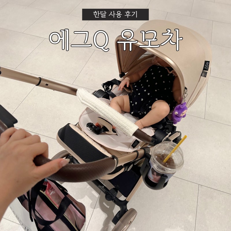에그Q 절충형 유모차 한 달 사용해보니 3가지 장점
