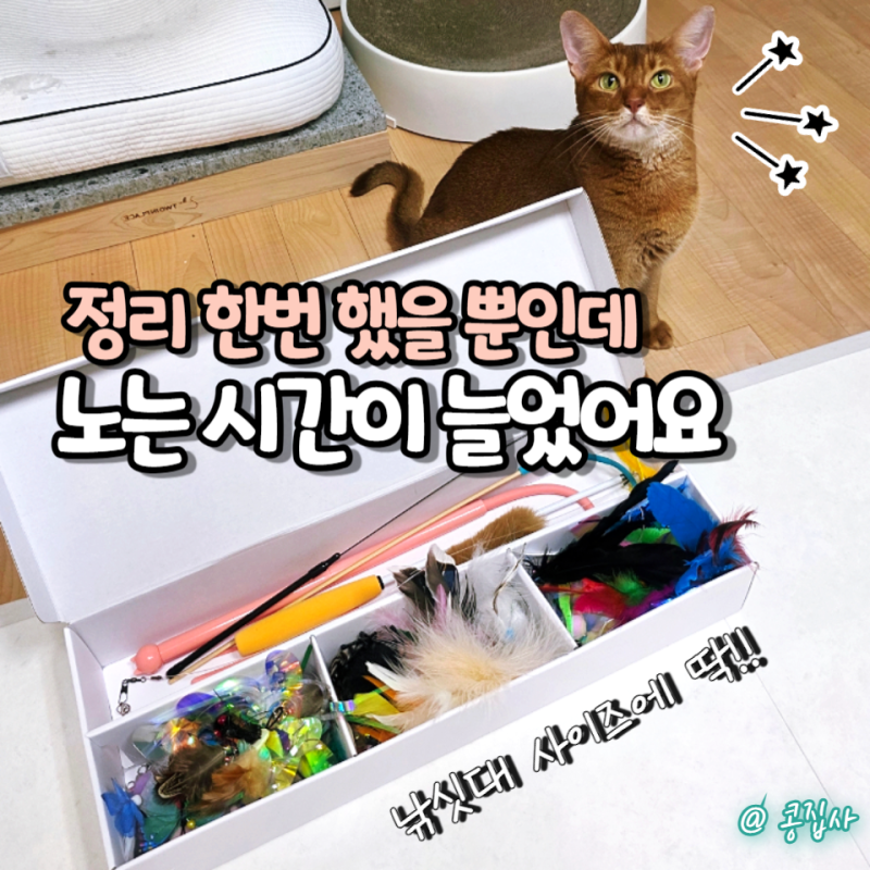 고양이낚시대 꺼내기 귀찮아 안 놀아줬다면? 테일리팩토리 고양이장난감 정리함 후기