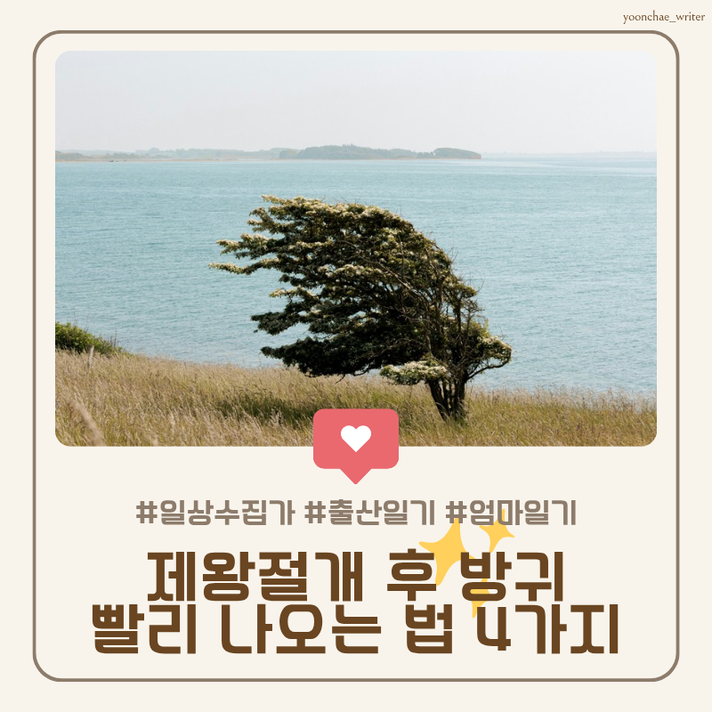 초산모 출산 일기 3일차, 1인실 이동, 제왕절개 후 방귀 빨리 나오는 방법 4가지