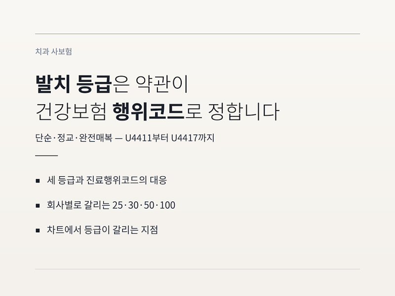 발치 등급 단순·정교·완전매복, 약관이 건강보험 행위코드로 정해 둡니다