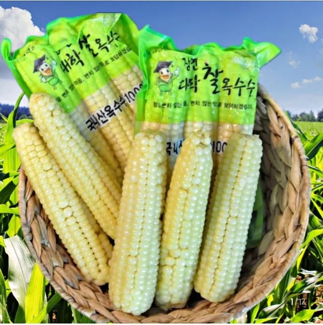 [배송] 괴산 대학찰옥수수 (네이버 산지직송 충북괴산 황병기 판매자) : 내돈내산 재재재재....