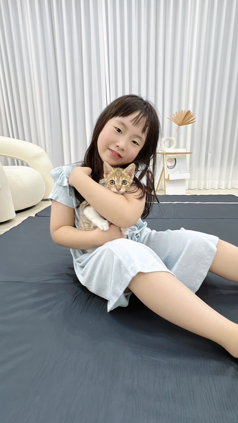좁은 원룸 침대 공간 고민 끝, 센스맘 접이식매트리스추천 안주미매트리스