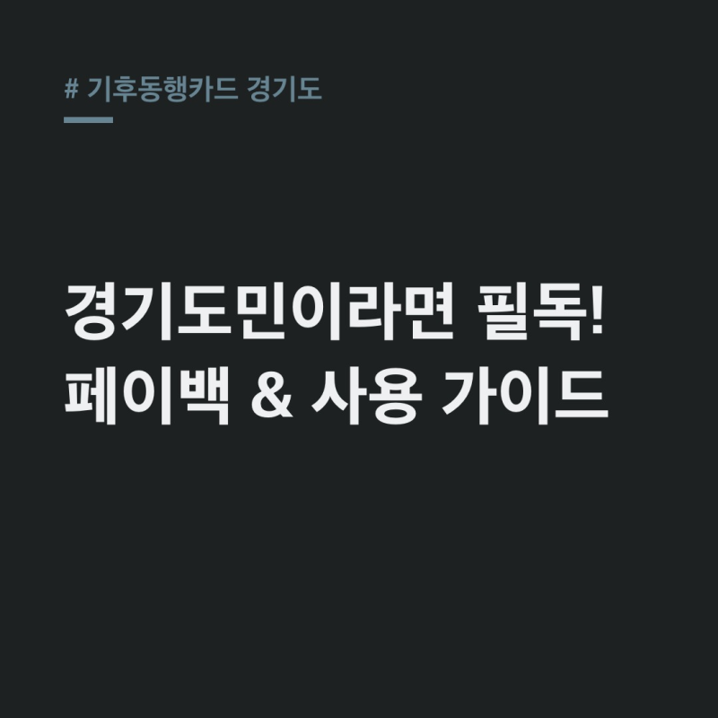 기후동행카드 경기도 사용법! 지하철 버스 환승 페이백 총정리