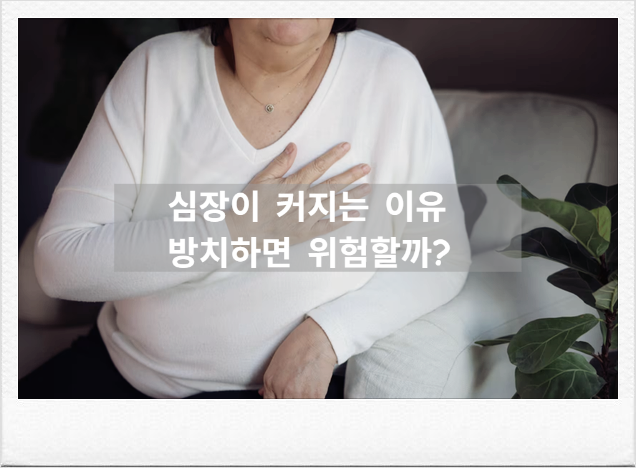검진표에 '심장비대' 소견이라면? 심장비대증 원인, 증상, 최신 치료법 정리