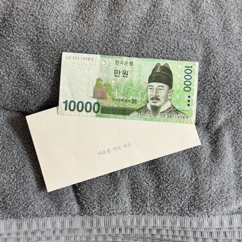 헌수건 처리 방법, 버리지 말고 유기견 보호센터에 기부해요