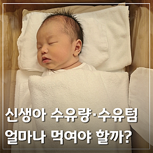 신생아 수유텀, 4시간은 언제부터? 신생아 수유량 계산 방법