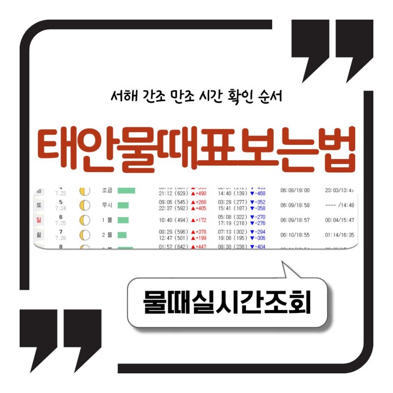태안물때표 보는법 서해 간조 만조 시간 확인 순서