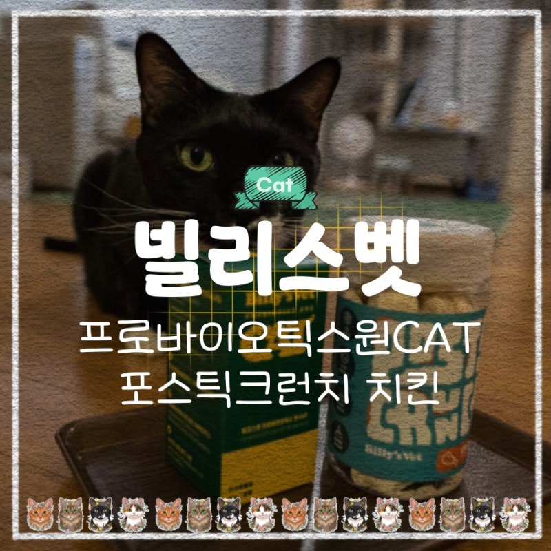 빌리스벳 - 프로바이오틱스원 캣 :: 먹이기 쉬운 유산균에 트릿까지!!