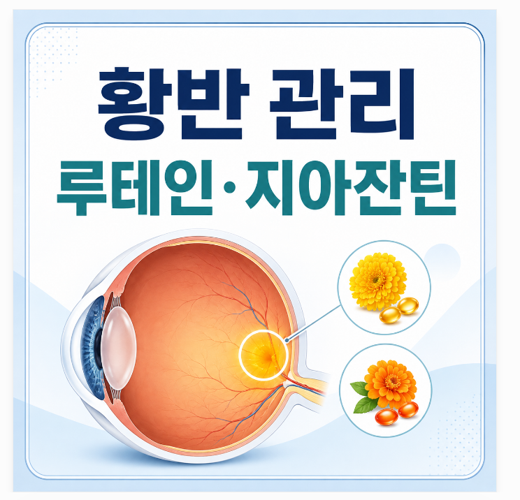 눈 영양제, 루테인만 먹으면 될까? 식품부터 일반의약품까지 성분별 차이 정리