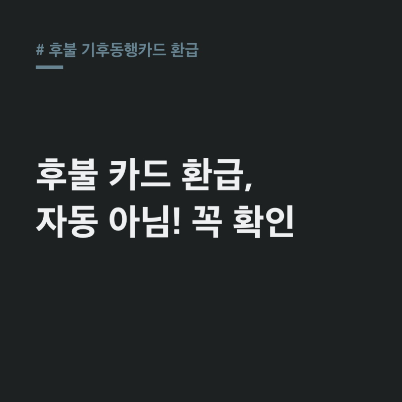 후불 기후동행카드 환급, 자동인 줄 알았죠? 청구할인 확인