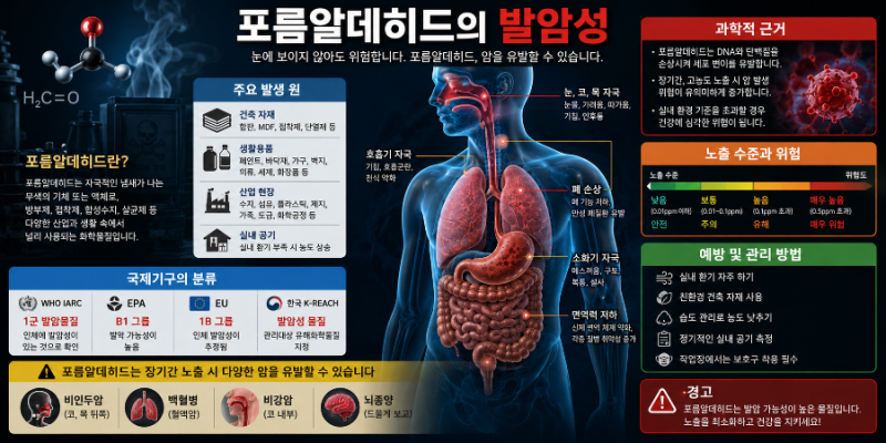 포름알데히드는 어디에 사용될까?