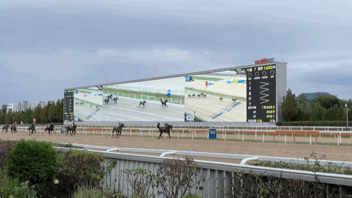 [과천] 서울 이색데이트 렛츠런파크서울 | 경마 일정 주차 입장권 원데이패 무료 구매 방법 ....