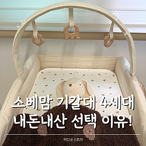 소베맘 기갈대 4세대 내돈내산 후기, 출산 전 선택한 이유 (조립, 세탁 방법, 방수패드)