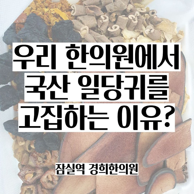 여성질환에 당귀를 쓰는 이유? / 송파 광진구 다낭성난소증후군 무월경 산후보약 [잠실역 경....