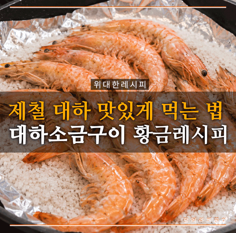 대하소금구이 굽는시간, 에어프라이어 팬 오븐 총정리