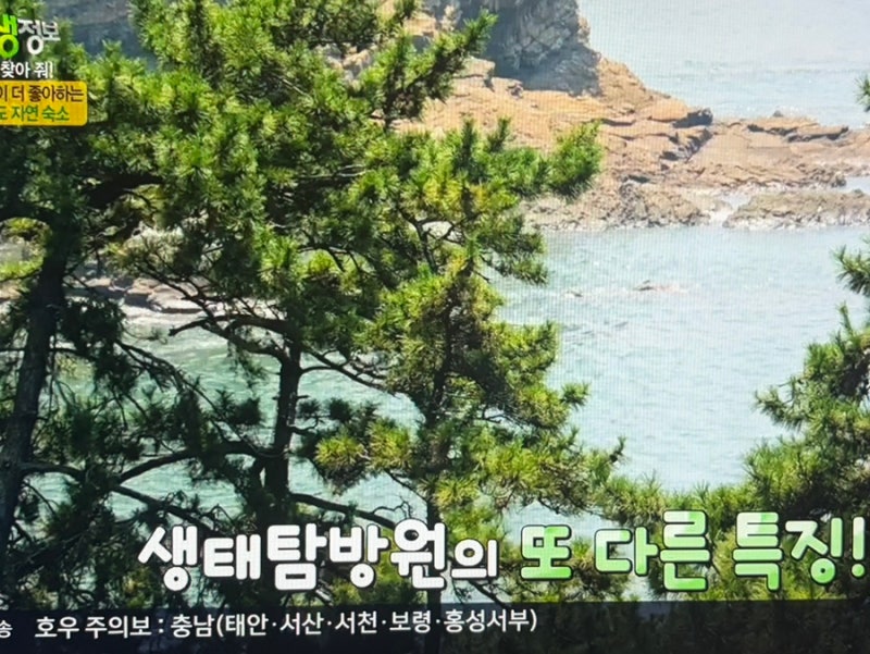 "아이랑 변산반도 갈 때 이 숙소를 모르면 손해인 이유"… 생태탐방원 총정리 생생정보
