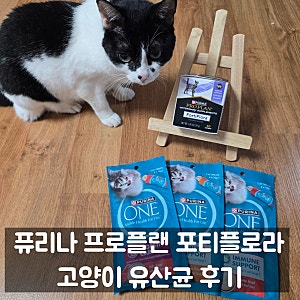 [15살 노령묘 땅콩이의 장 건강을 위한 고양이유산균] 퓨리나 프로플랜 캣 포티플로라 후기