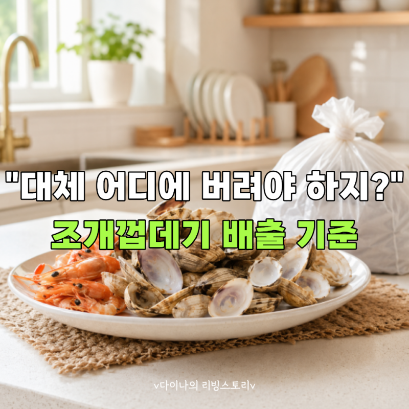 조개껍데기 잘못버리면 벌금 20만원? 후회하지말고 '이렇게' 버리세요