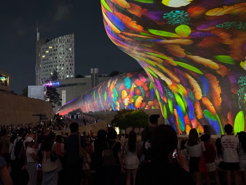 동대문디자인플라자 놀거리 서울라이트 DDP 전시 시간