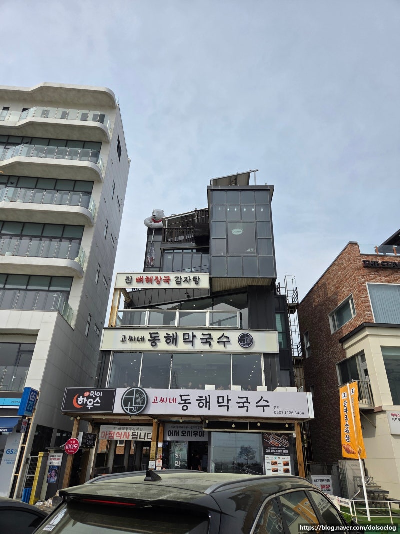 강릉 강문해변 맛집 총정리 ️ | 애견동반 맛집부터 초당버거, 순두부젤라또까지