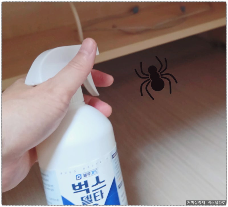 거미 퇴치제 고르는 기준 3가지, 실내로 들어오는 길목부터 막는 법