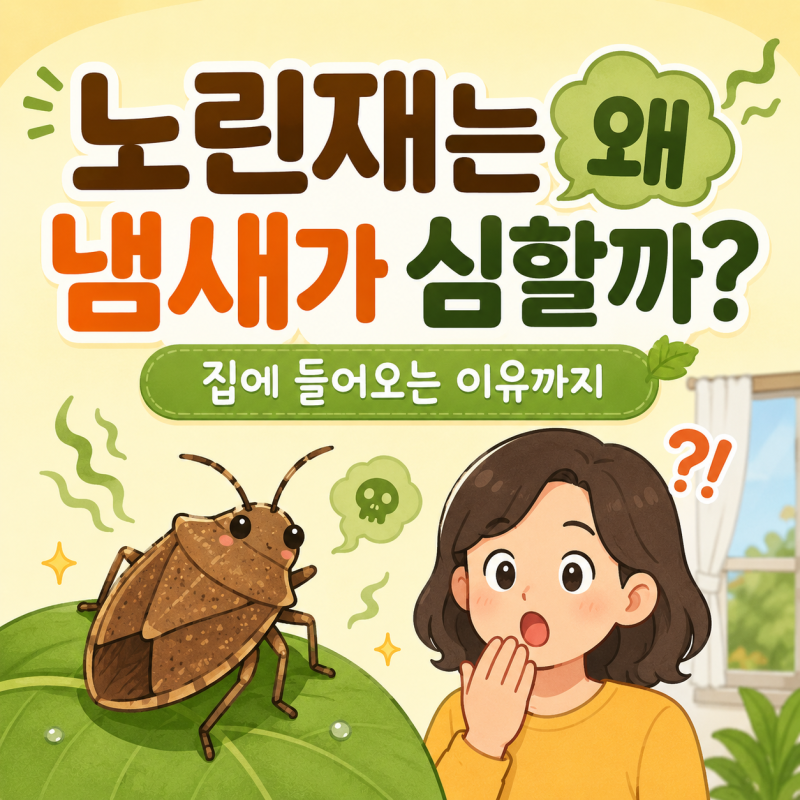 [흥미잡학] 노린재는 왜 냄새가 심할까? 집에 들어오는 이유와 냄새 없이 내보내는 법
