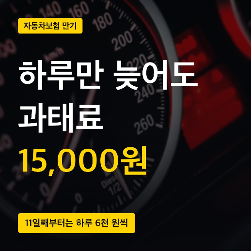 자동차보험 만기, 하루만 넘겨도 과태료예요 (조회부터 갱신까지)