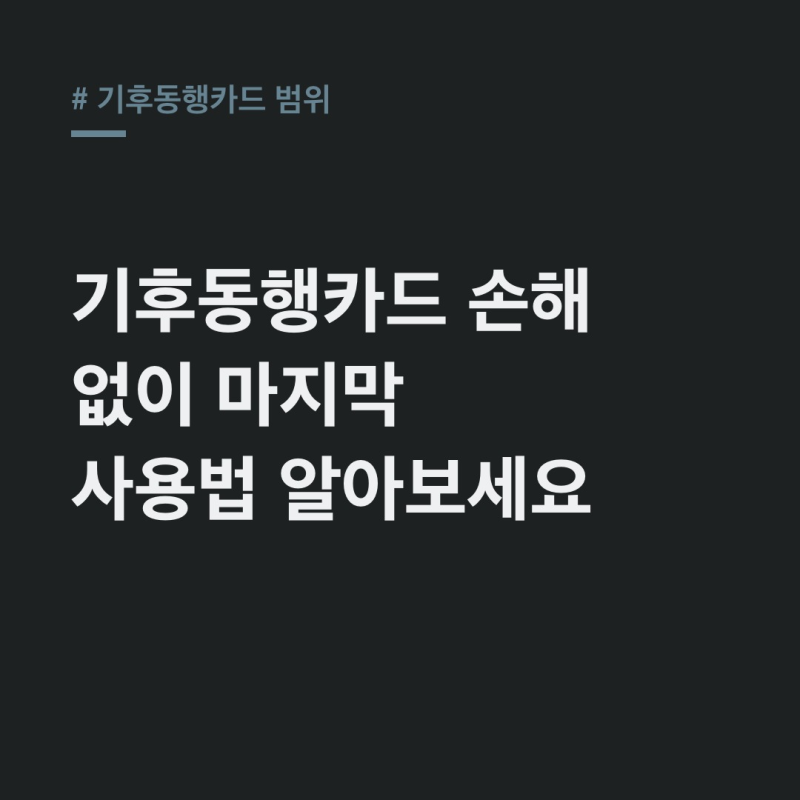 기후동행카드 범위, 이것 모르면 손해! 마지막 사용 가이드