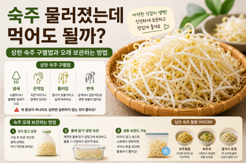 숙주 물러졌는데 먹어도 될까? 상한 숙주 구별법과 오래 보관하는 방법