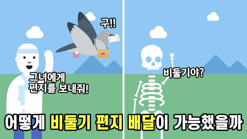 과거에는 도대체 어떻게 비둘기로 편지를 보냈던 걸까