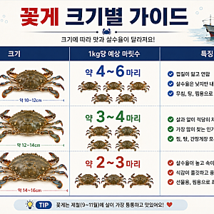 꽃게 1kg 몇 마리?｜크기별 마릿수·찜 시간·꽃게 고르는 법