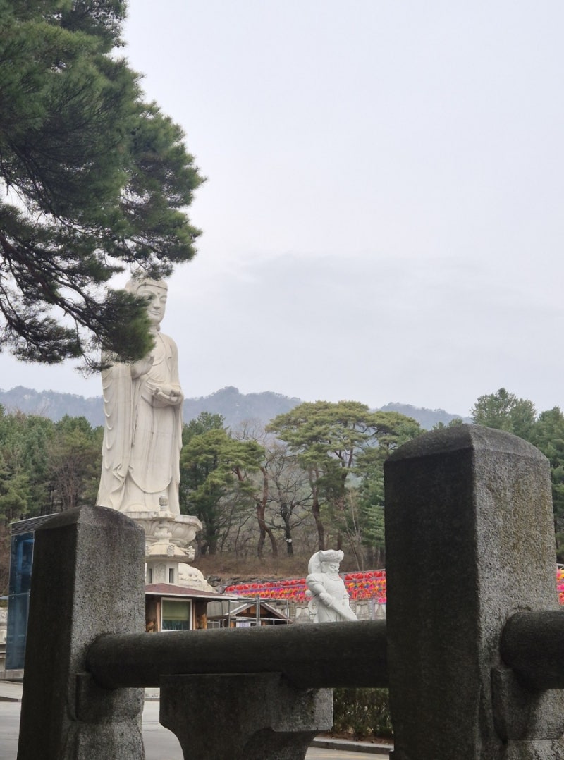 대구동화사 - 팔공산케이블카 코스로 좋은 고찰 뚜벅이가는법