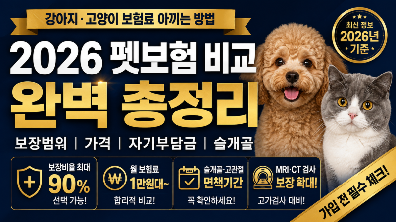 2026 펫보험 비교 강아지 보험 가격 보장범위 자기부담금 슬개골 총정리