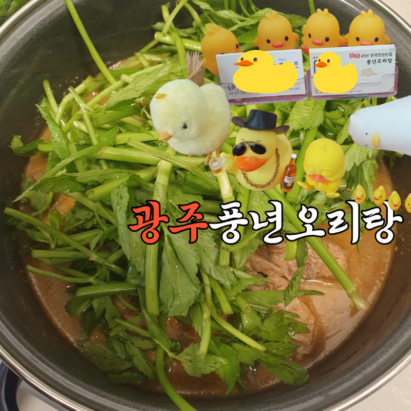 광주 풍년오리탕 포장해서 먹어보니, 고소한 국물에 미나리까지 푸짐