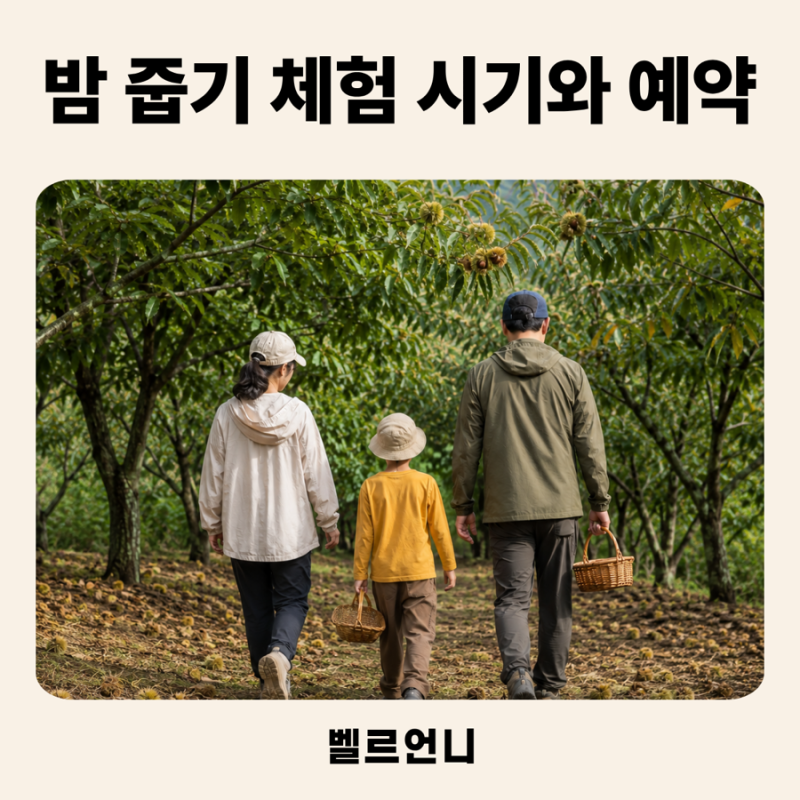 2026 밤 줍기 체험 시기, 아이와 가볼만한곳 추천 | 아이랑 갈 때 준비물과 양평 농장 예약