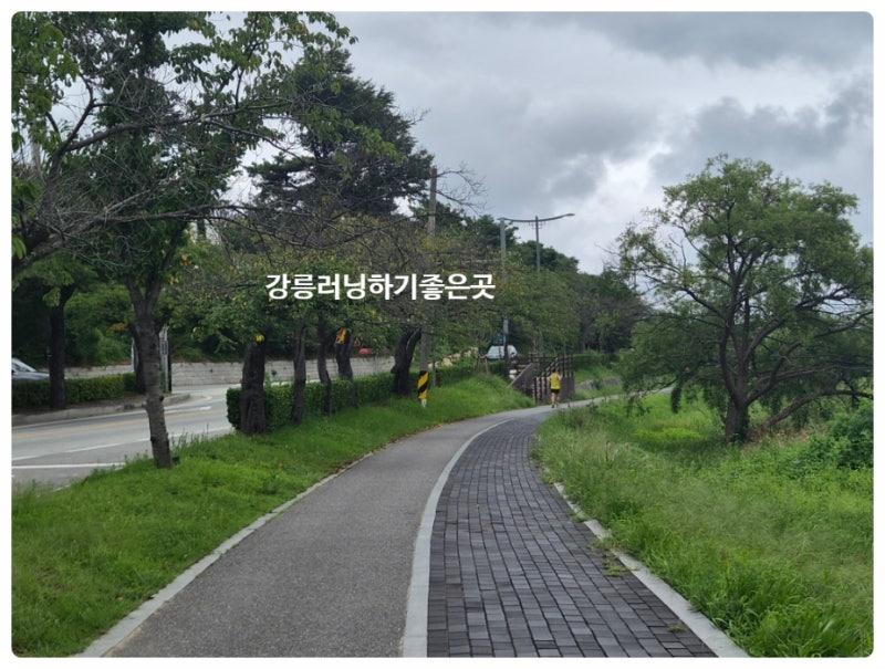 강릉러닝 코스 추천 달리기 좋은 경포호수 둘레길