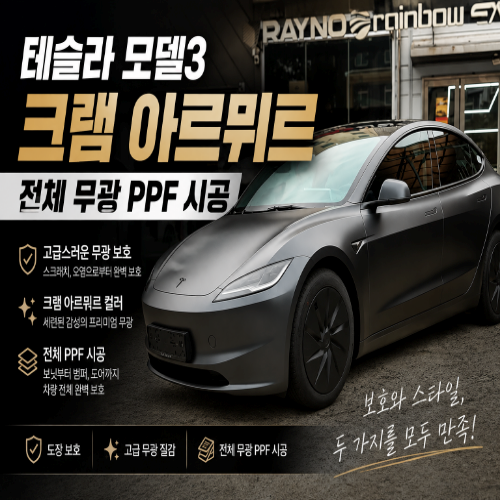 대전 테슬라 모델3 무광 PPF 전체 시공 | 순정 도장 보호화 스타일을 한 번에