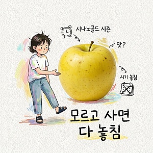 모르고 사면 시기도 맛도 다 놓침 시나노골드 제철 수확시기 맛 당도 고르는법 보관법 먹는....