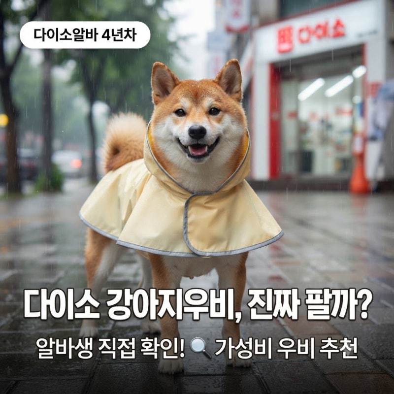[다이소알바] 강아지 우비도 판다고?? (가성비 가격 강아지 비옷 추천)