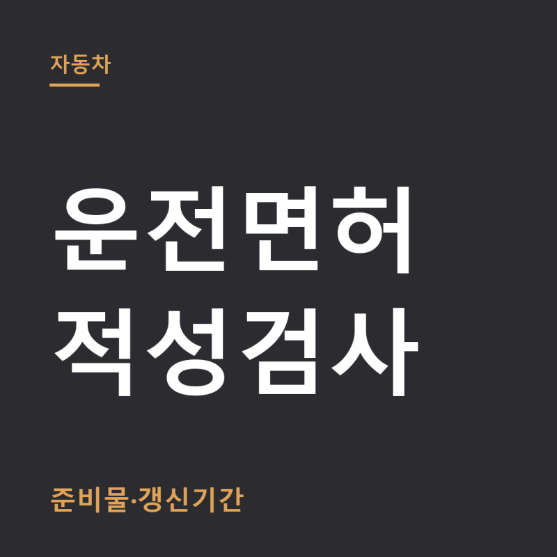 운전면허 적성검사 준비물 총정리 (+갱신, 장소)