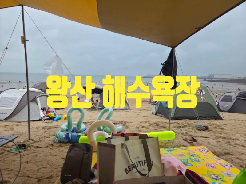 영종도 왕산 해수욕장(위치, 주차 입장료, 공공시설 이용료)